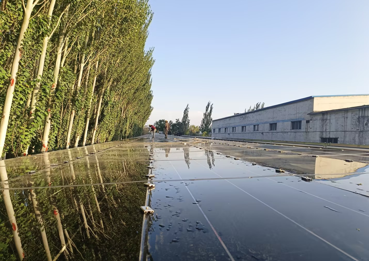 a3e6a509c173588089c3cf932240ae9d.png a3e6a509c173588089c3cf932240ae9d.png